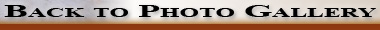 Bact to Photo Gallery